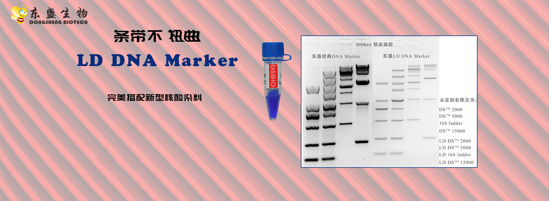 威尼斯国际2299cc(中国)股份有限公司